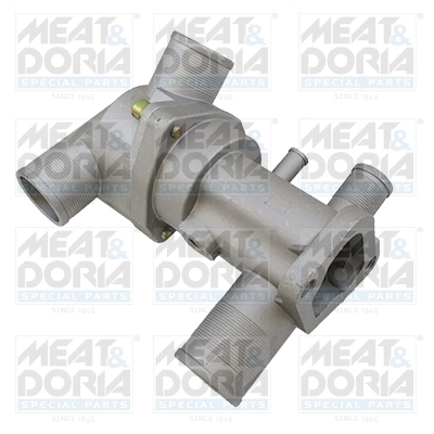Thermostat, coolant